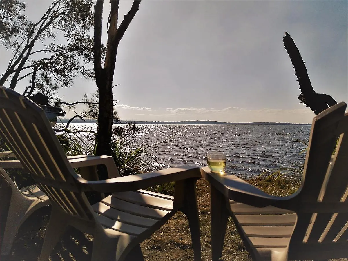 Lake Weyba Noosa Lodge & Kangaroos Peregian Beach