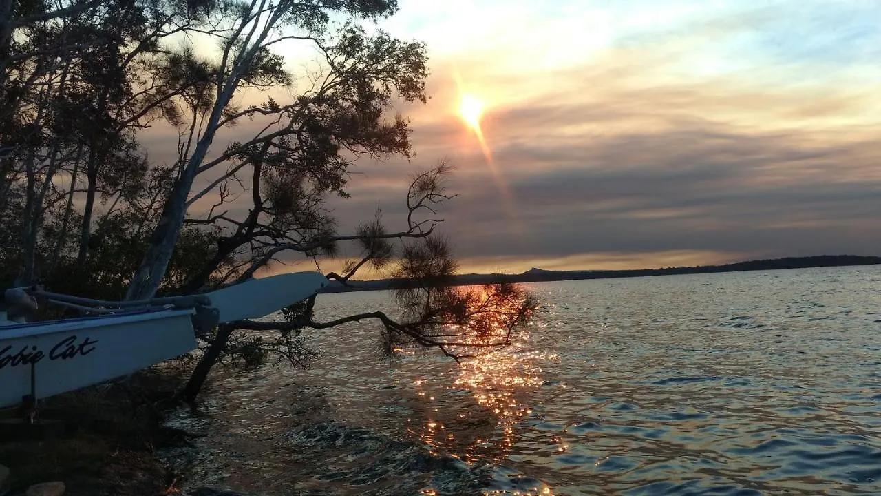 Lake Weyba Noosa Lodge & Kangaroos Peregian Beach