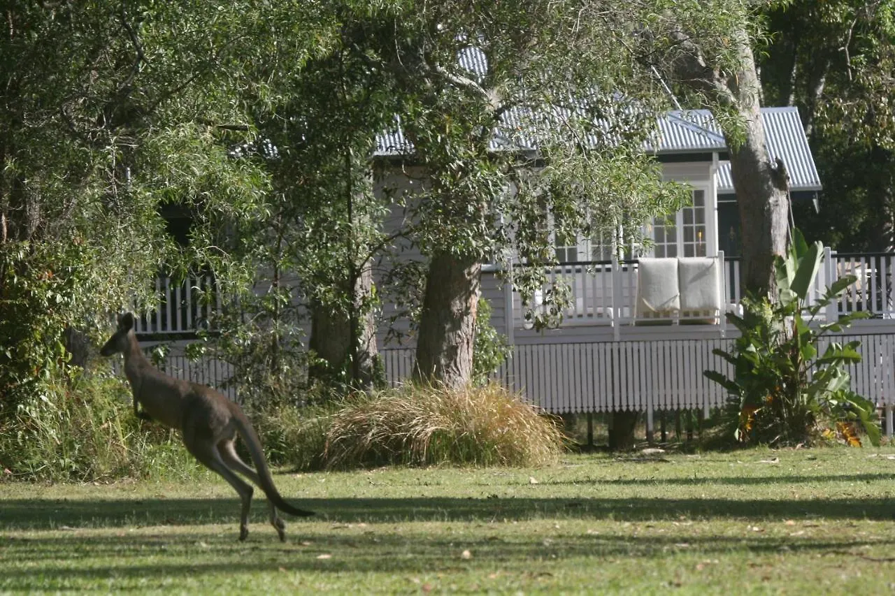 Lake Weyba Noosa Lodge & Kangaroos Peregian Beach 0*,