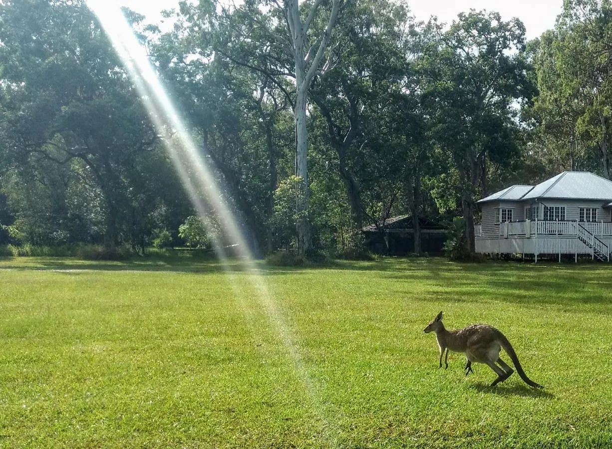 Lake Weyba Noosa Lodge & Kangaroos Peregian Beach Australië