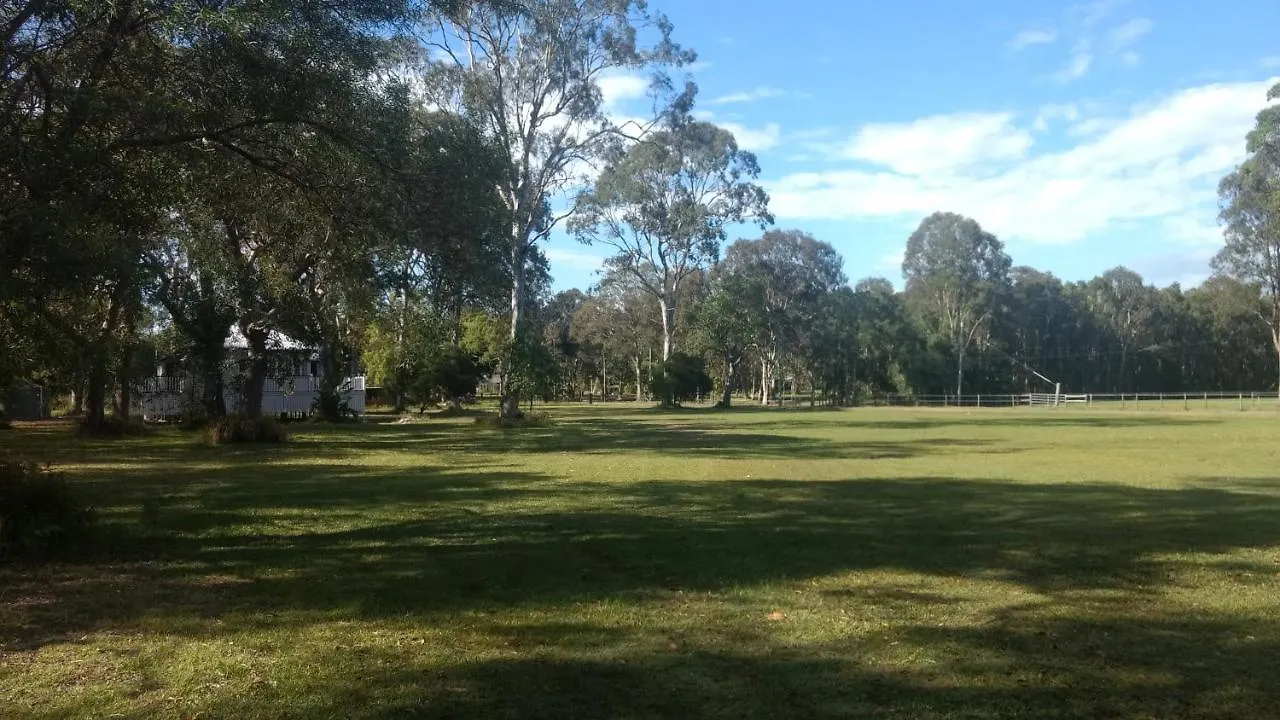 Lake Weyba Noosa Lodge & Kangaroos Peregian Beach