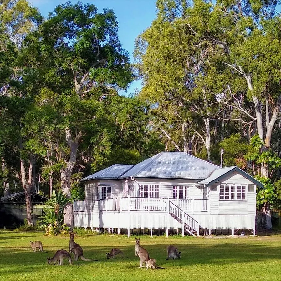 Lake Weyba Noosa Lodge & Kangaroos Peregian Beach