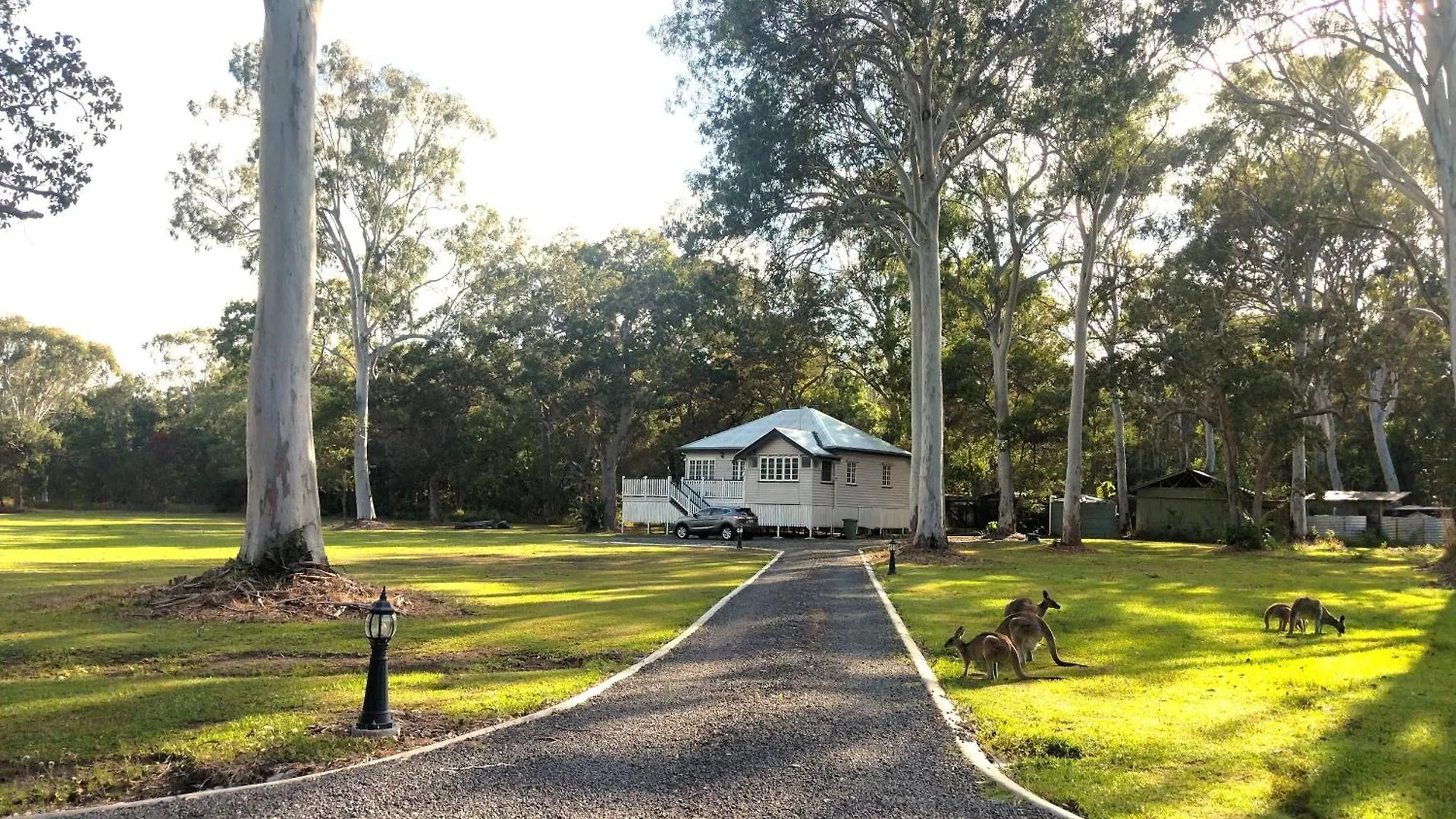 Lake Weyba Noosa Lodge & Kangaroos Peregian Beach