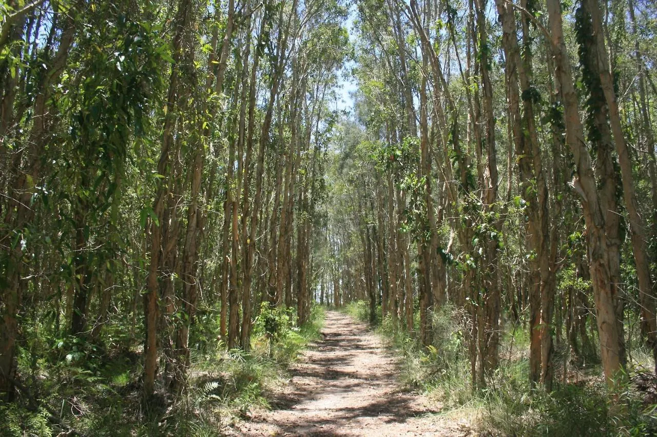 Lake Weyba Noosa Lodge & Kangaroos Peregian Beach