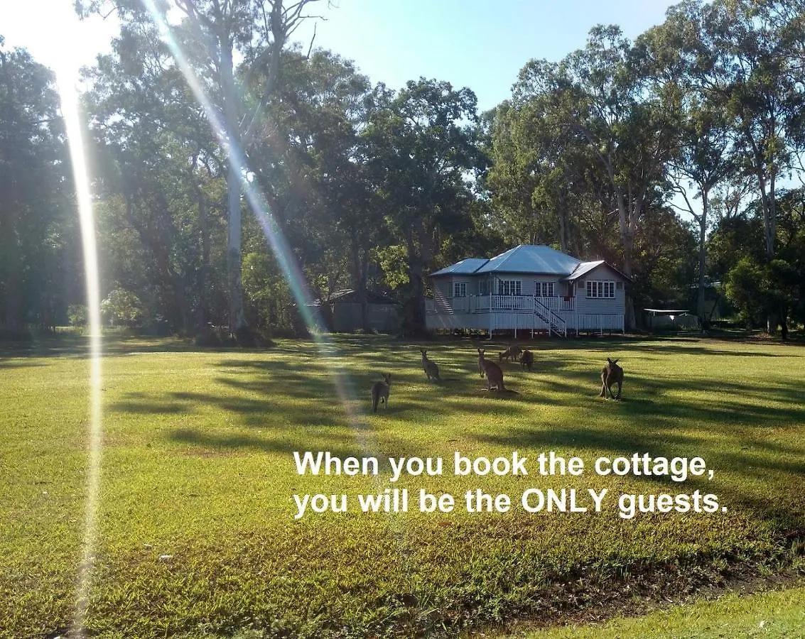 Lake Weyba Noosa Lodge & Kangaroos Peregian Beach Avustralya