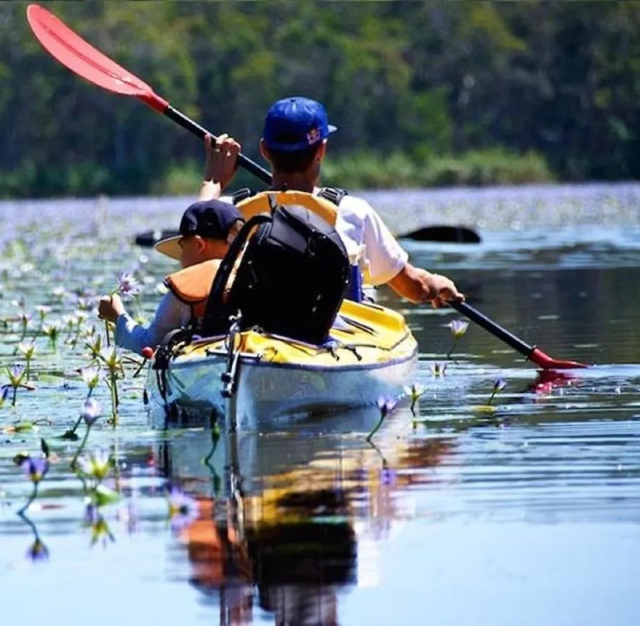 Lake Weyba Noosa Lodge & Kangaroos Peregian Beach