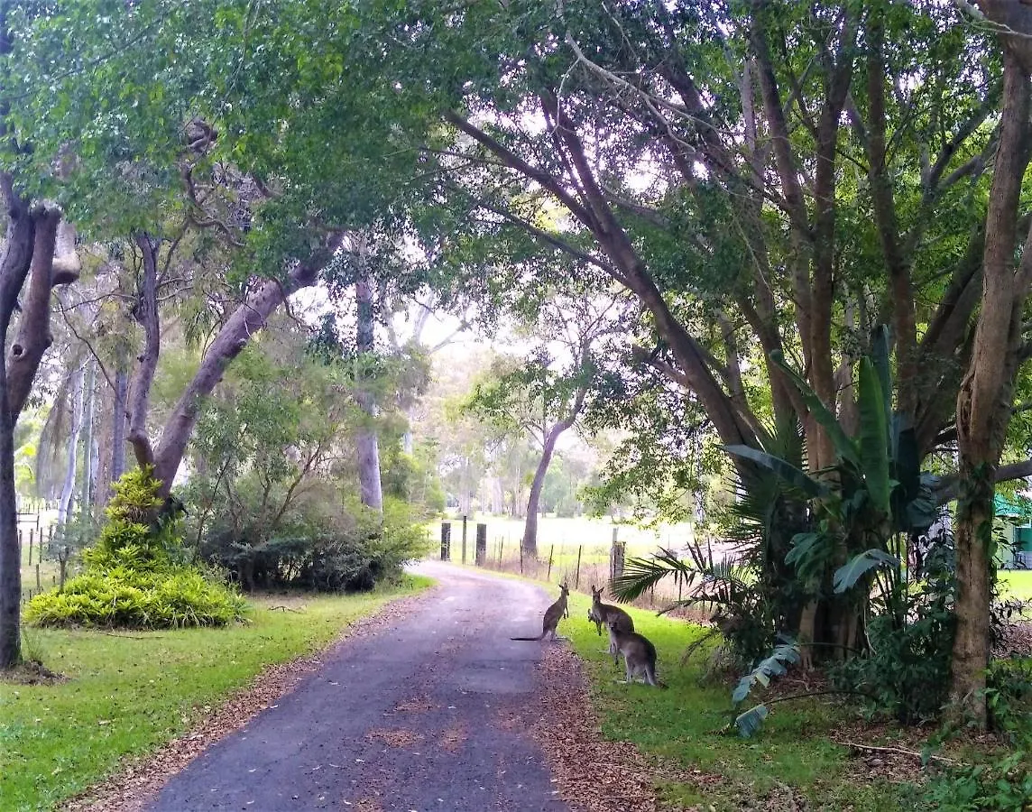 Lake Weyba Noosa Lodge & Kangaroos Peregian Beach 0*,