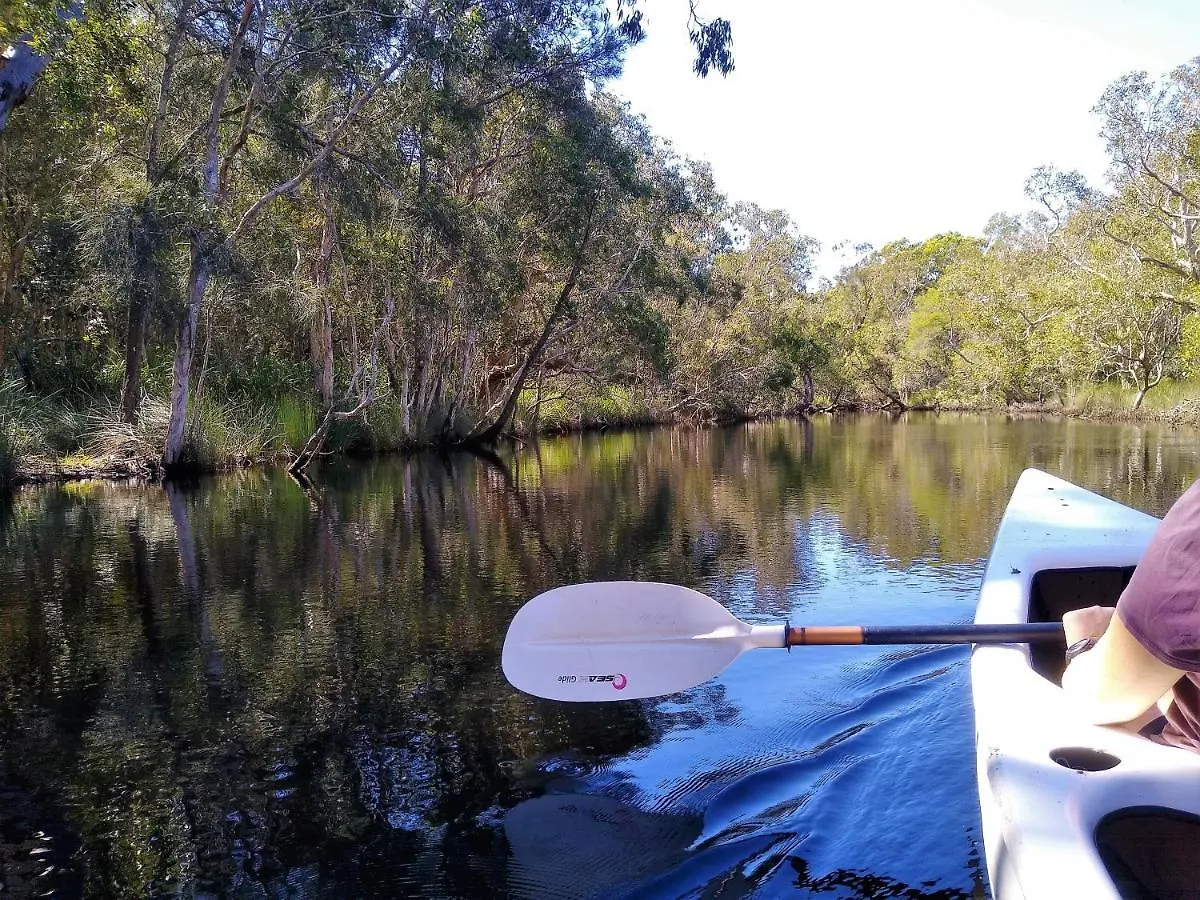 Lake Weyba Noosa Lodge & Kangaroos Peregian Beach