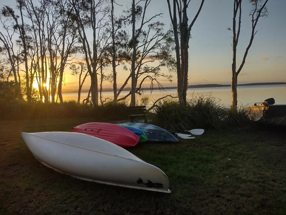 Lake Weyba Noosa Lodge & Kangaroos Peregian Beach